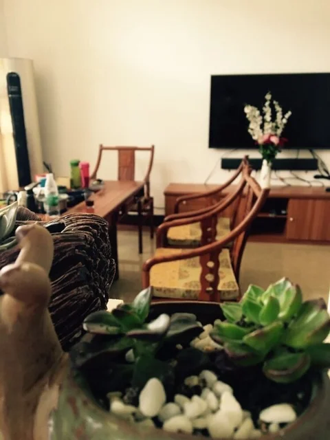 Бэйхай: Weizhou Fu Yuan Hotel