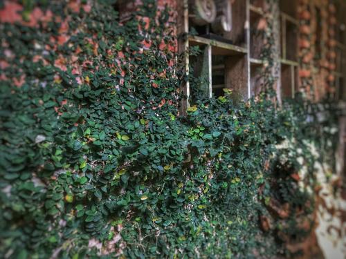 Цзинхун: Rainforest Legend Boutique Guesthouse