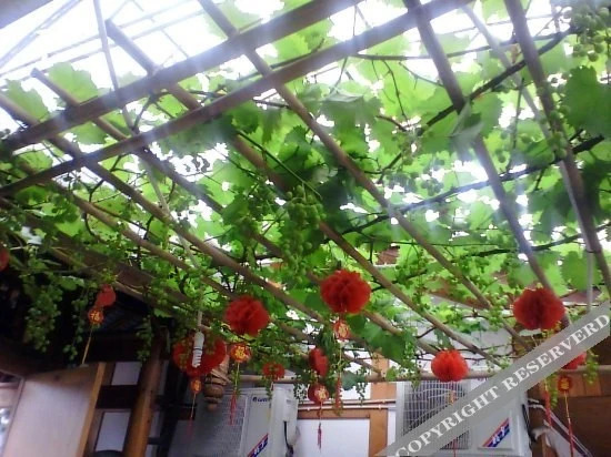 Чэнду: Guojiayuan Hotel