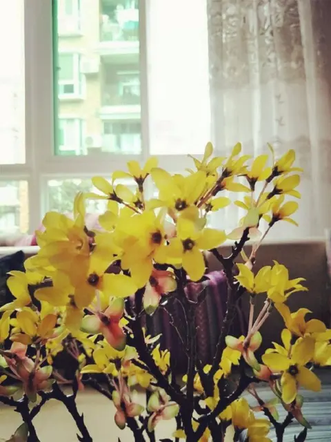 Ухань: Wuhan B & B brigade wearing Dengqen