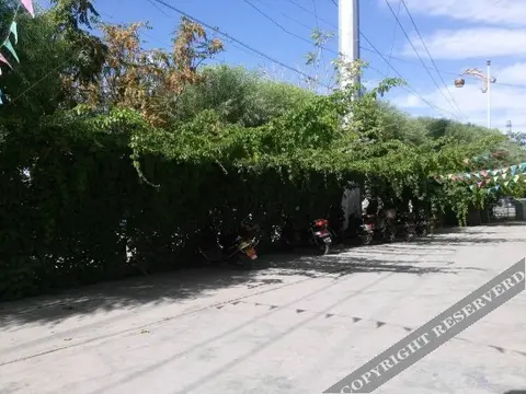 Цзюцюань: Tianxin Business Hotel