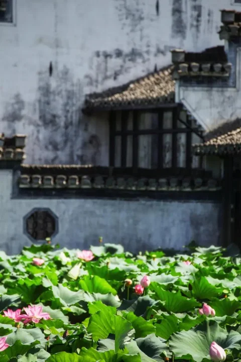 Хуаншань: Huanghsan SU House