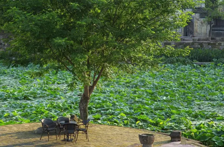 Хуаншань: Huanghsan SU House