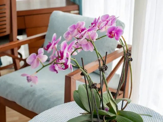 Бэйхай: Tianyijiao Theme Hostel