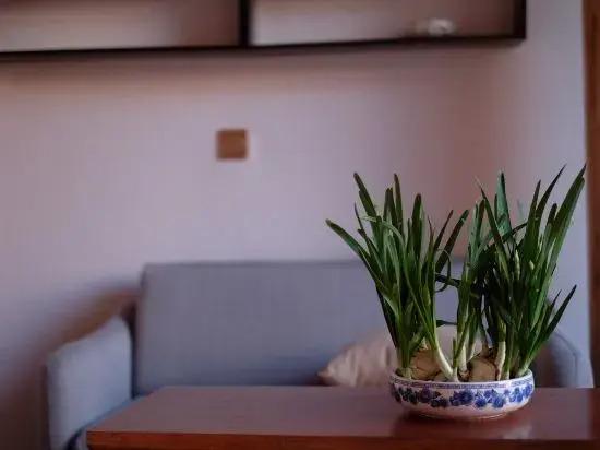 Jiaoxicun Inn — фото 1