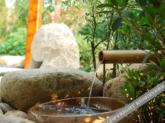 Чанчжоу: Changzhou Dinosaur Valley Hot Spring Hotel