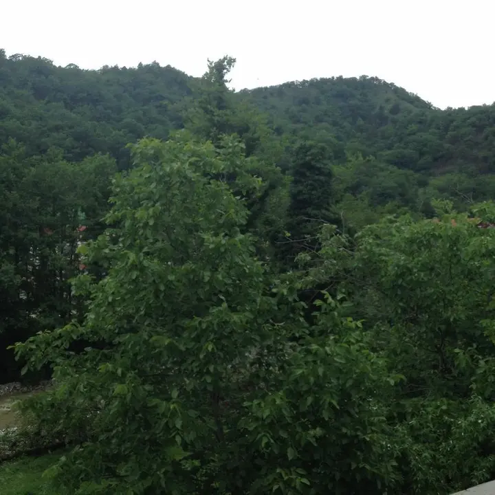 Дедеркой: Guest House U Tatyany