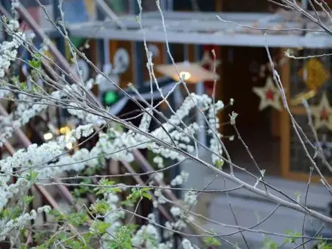 Шангри-Ла: Yuanfang Family Courtyard Inn