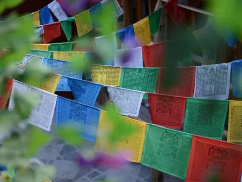 Шангри-Ла: Yuanfang Family Courtyard Inn