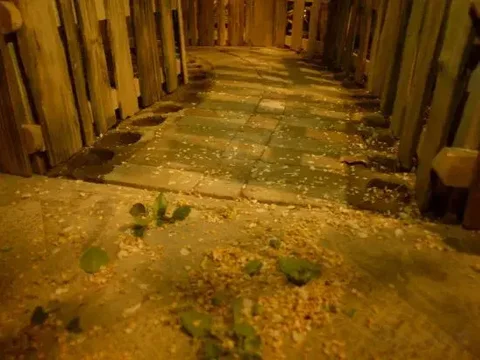 Шангри-Ла: Yuanfang Family Courtyard Inn