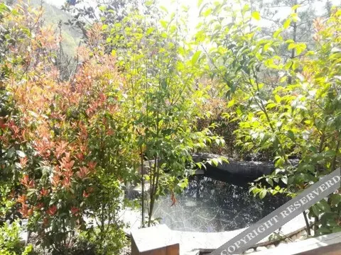 Лоян: Yihe Funiu Shanju Hot Spring Hotel