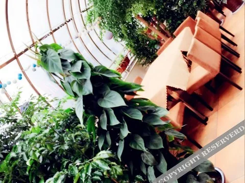 Юйси: Pengcheng Hotel