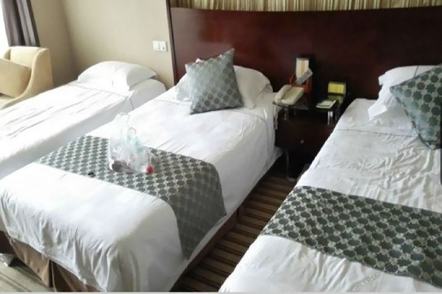 Нанкин: Shuixiu Garden Hotel