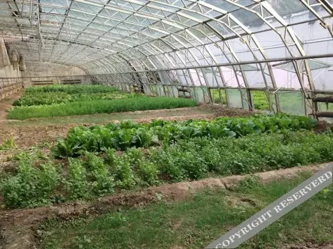 Баодин: Yiran Ecological Garden