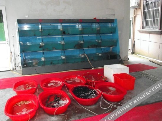 Чжоушань: Zhujiajian Lishayuan Homestay (Nansha Scenic Area)
