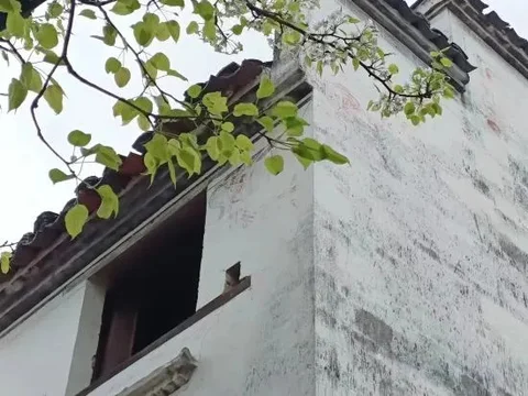 Шанграо: Jiangling Guesthouse