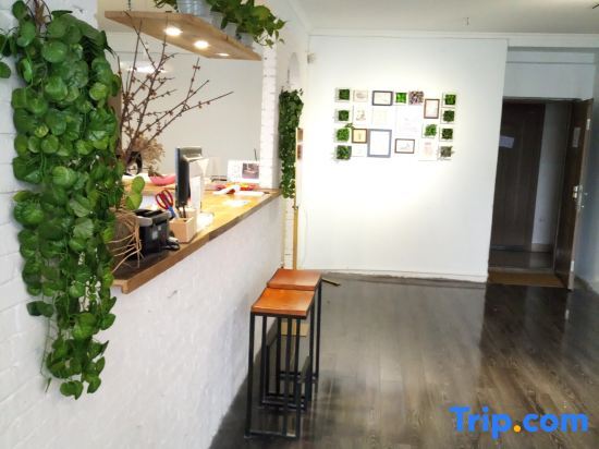 Чунцин: Zishu Dushi Hostel (Chongqing Fortune Center)