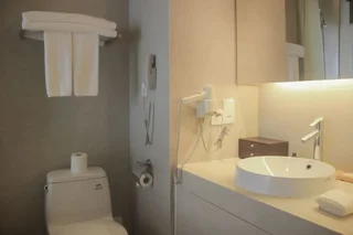 Тяньцзинь: GreenPark Hotel Tianjin