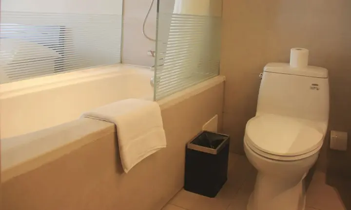 Тяньцзинь: GreenPark Hotel Tianjin
