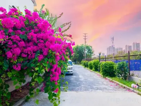 Бэйхай: Hailai Inn