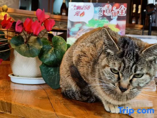 Шангри-Ла: Xiangsheli Foguang Qifu Boutique Inn