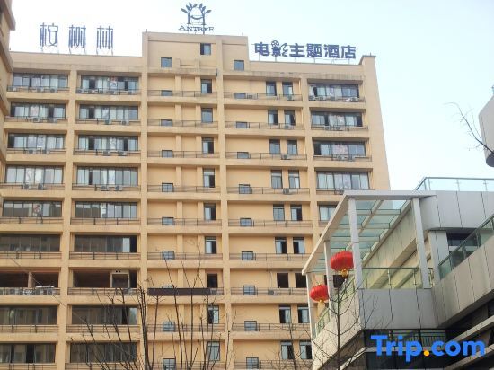 Чунцин: Eucalyptus Forest Movie Theme Hotel (Chongqing Jiangbei International Airport)