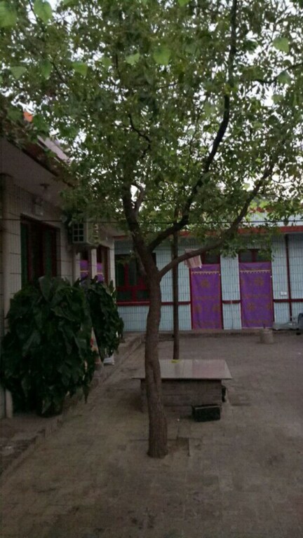 Цзиньчжун: Pingyao Feng Sentai Inn