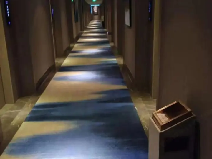 Цзеян: Jinlihua Hotel