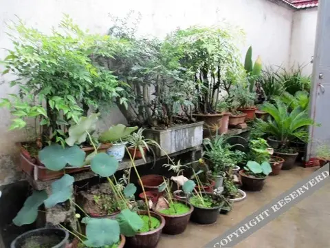 Хуаншань: Shendu Lvyuan Farmhouse