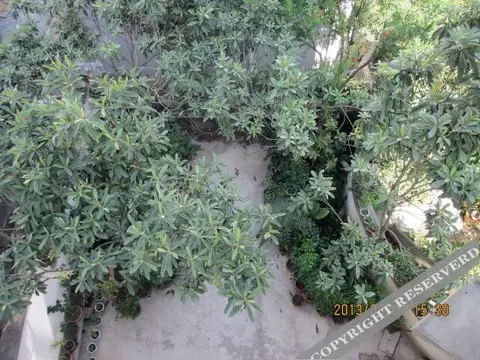 Хуаншань: Shendu Lvyuan Farmhouse