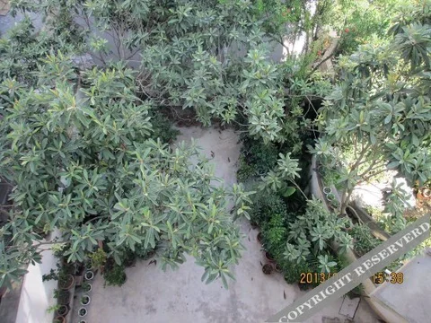 Хуаншань: Shendu Lvyuan Farmhouse