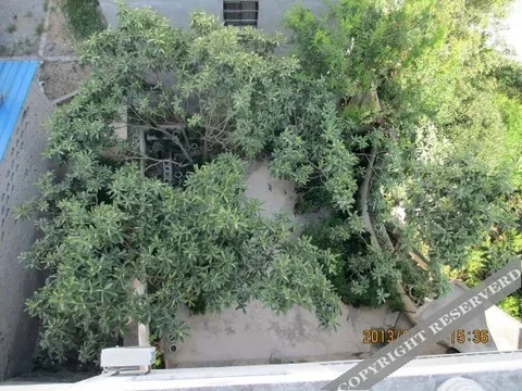 Хуаншань: Shendu Lvyuan Farmhouse
