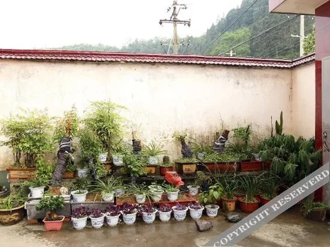 Хуаншань: Shendu Lvyuan Farmhouse