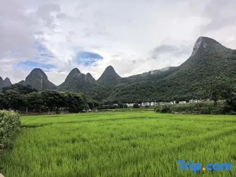 Синъи: Xingyi Wanfeng Forest Traveler Home