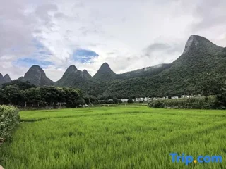 Синъи: Xingyi Wanfeng Forest Traveler Home