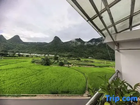 Синъи: Xingyi Wanfeng Forest Traveler Home
