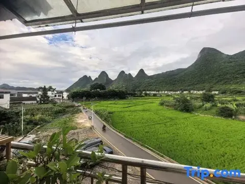 Синъи: Xingyi Wanfeng Forest Traveler Home