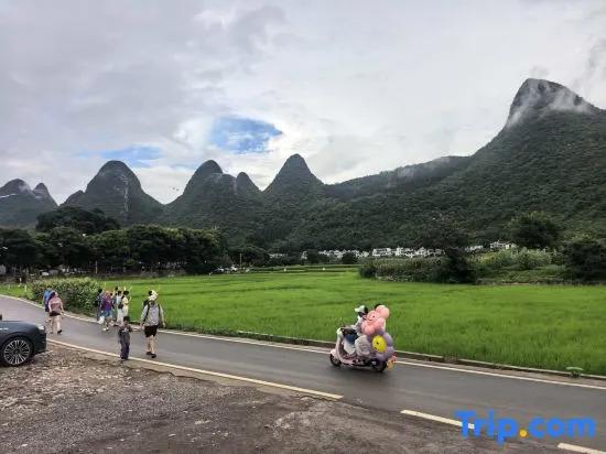 Синъи: Xingyi Wanfeng Forest Traveler Home