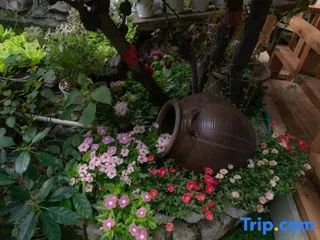 Пучжэхэй: Tingyun Shanju Inn