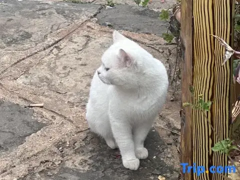 Пучжэхэй: Tingyun Shanju Inn