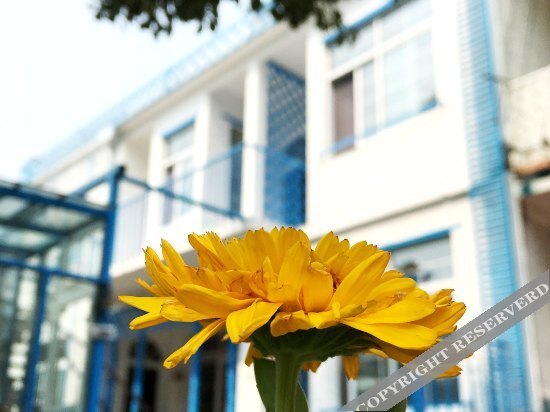 Чжоушань: Miaogen 228 Hostel