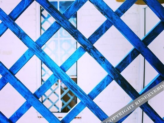 Чжоушань: Miaogen 228 Hostel