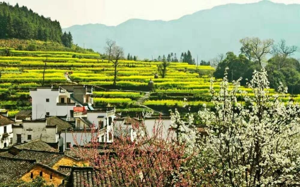 Шанграо: Wuyuan Jiangling Huayun Hotel