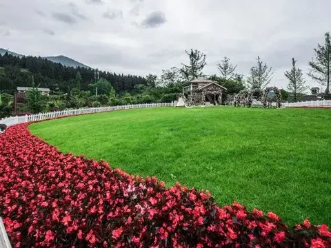 Лешан: Qiliping Hot Spring Hotel