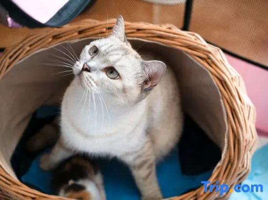 carousel image 5