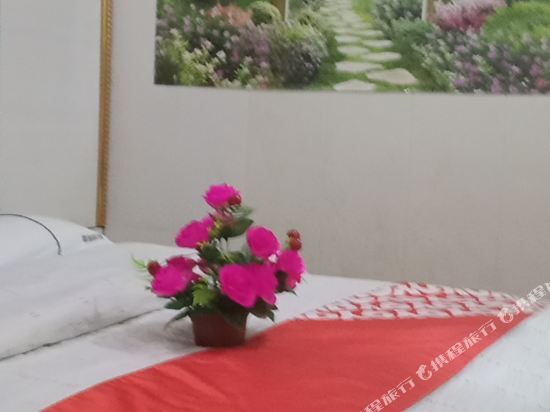 Ухань: HaluoqingHotel