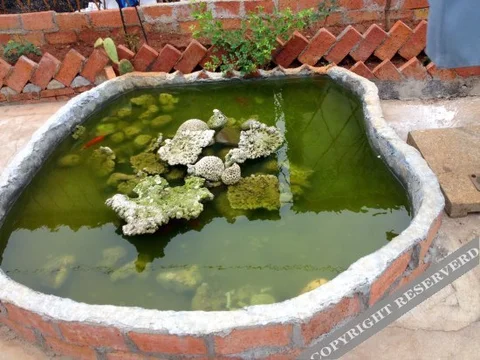 Бэйхай: Weizhou Island Lanhong Inn