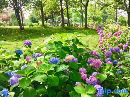 Чжэньцзян: Yijingwan Resort