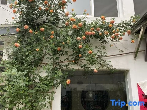 Хуаншань: Huangshan Emerald Valley Tingquan Xiaoyuan Homestay
