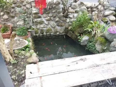 Хуаншань: Huangshan Emerald Valley Tingquan Xiaoyuan Homestay